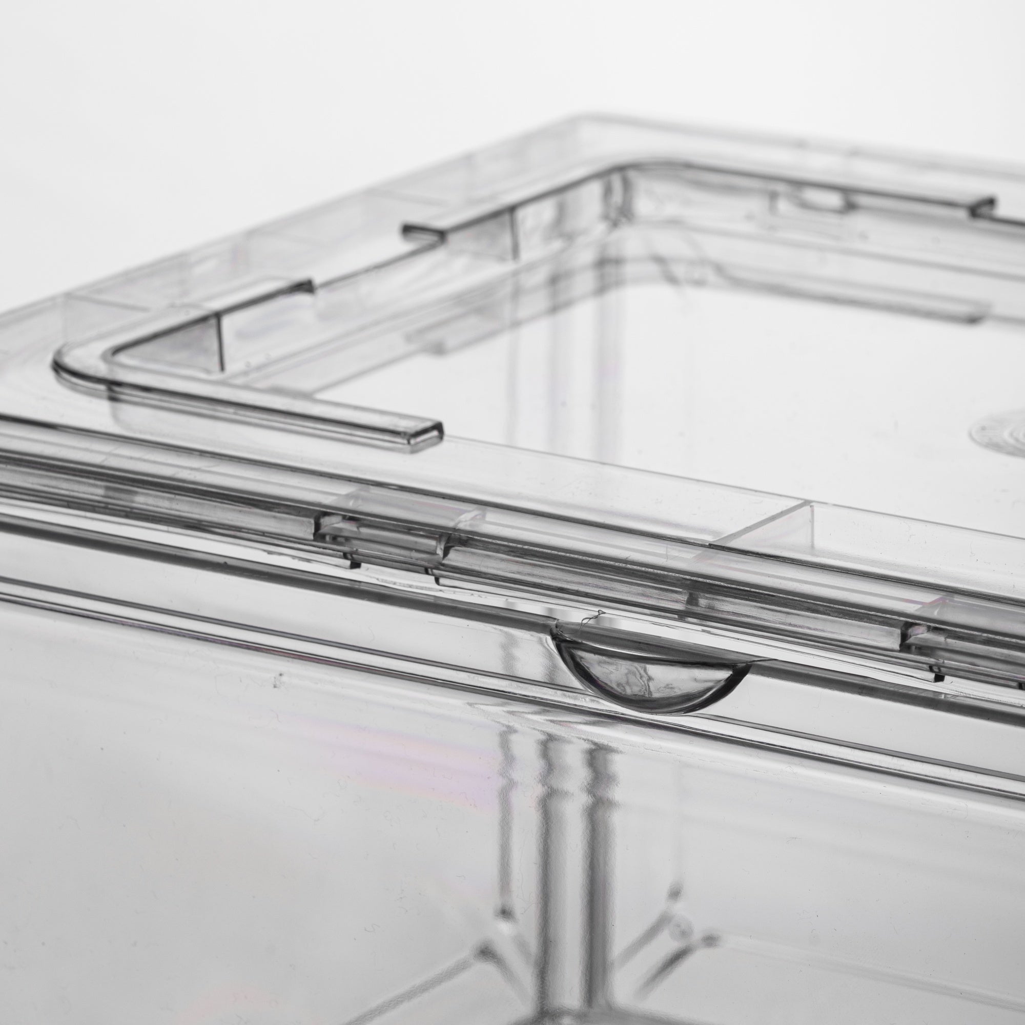 Nickron Shoe Storage Boxes