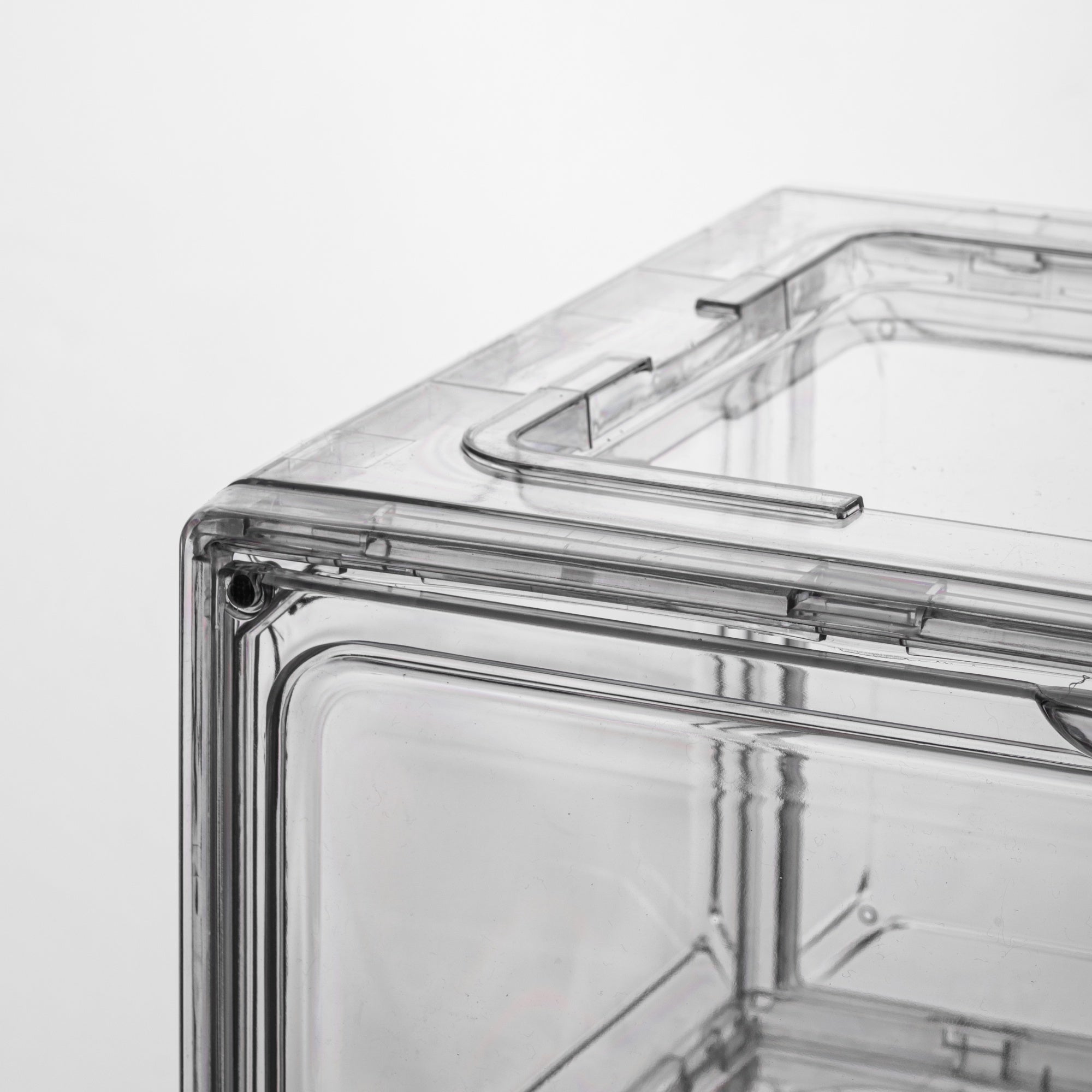 Nickron Shoe Storage Boxes